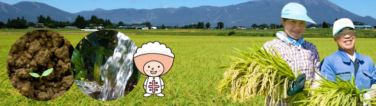 ファーム菅久の米作りは、土づくりを基本としています。